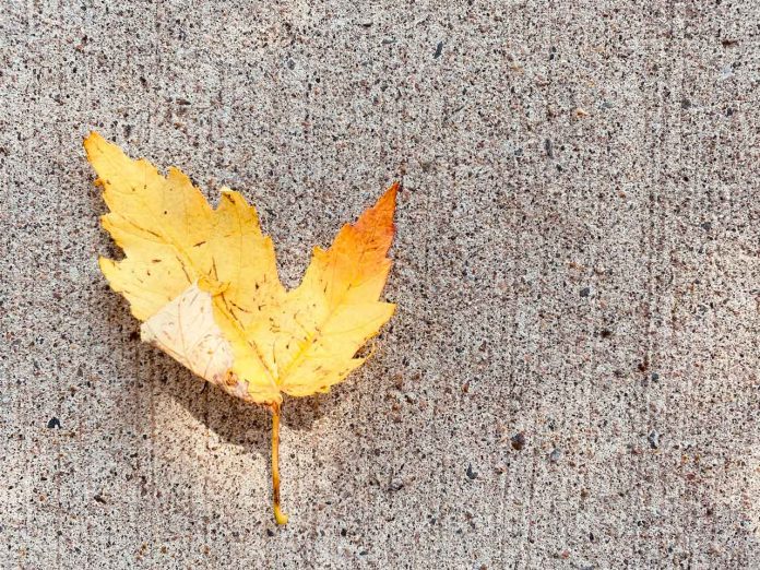 Maple Leaf on St Paul Street