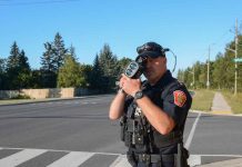 Fight Traffic Tickets Smartly With Legal Guidance Drive Smart