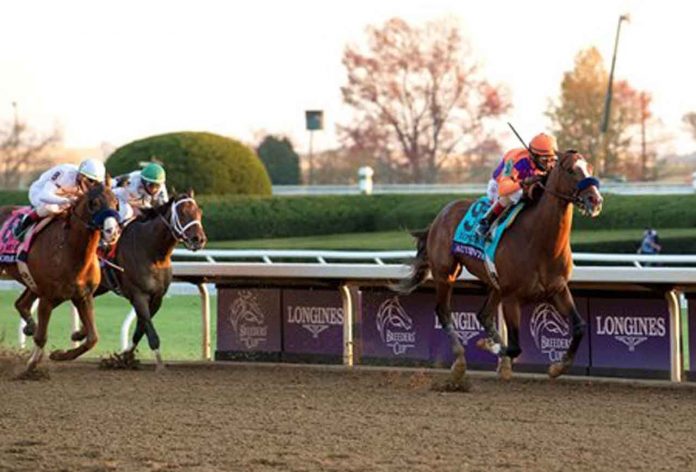 Post-Breeders’ Cup Races To Look Forward To