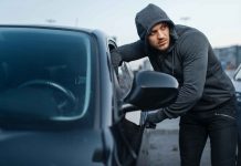 Home Safety in Canada: What You Can (Legally) Do — And What Could Get You Charged car theft