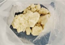 Conservatives Decry “Mark Carney’s Radical Drug Agenda” Home takeover investigation leads to seizure of firearms, fentanyl