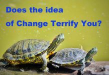 Does Change Terrify You? change