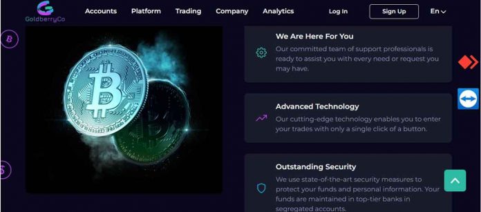 Goldberryco.com Review: Supercharge your forex journey