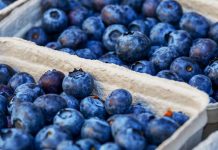Webequie Weather: Warm and Sunny Start to September blueberries
