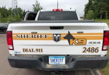 Lutsen, Minnesota: 61-Year-Old Man Dies After Being Swept Into Lake Superior Cook County Sherrif