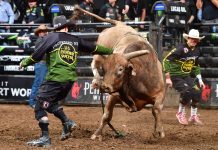Why We Cover Professional Bull Riding at NetNewsLedger PBR Nashville Josh Homer/Bull Stock Media,