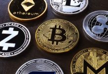 Thunder Bay’s Crypto Enthusiasts Brace for Volatile September Amid Global Market Crash Bitcoin and cash