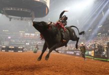 Dener Barbosa Cracks Top 5 in Heated Battle for the 2023 PBR World Championship with Round 6 World Finals Victory Dener Barbosa Cracks Top 5 in Heated Battle for the 2023 PBR World Championship with Round 6 World Finals Victory