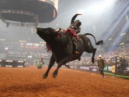 Keeping Brings the Thunder as Texas Rattlers Strike at Rattler Days Dener Barbosa Cracks Top 5 in Heated Battle for the 2023 PBR World Championship with Round 6 World Finals Victory