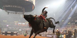 PBR Teams Thunder Into Austin as Nashville Stampede Hit Double-Digit Wins Dener Barbosa Cracks Top 5 in Heated Battle for the 2023 PBR World Championship with Round 6 World Finals Victory