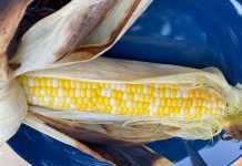 Transform Your Backyard into a Summer Paradise with These Easy Upgrades From Backyard BBQs to Campfire Feasts, Elevate Your Corn on the Cob Game with These Expert Techniques