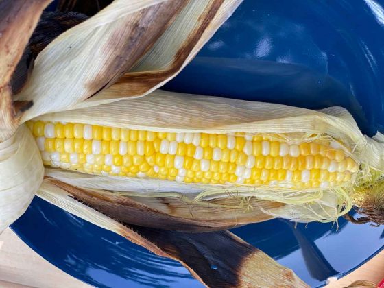 From Backyard BBQs to Campfire Feasts, Elevate Your Corn on the Cob Game with These Expert Techniques