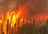 Copernicus reports intense 2026 wildfires from Indonesia to the Arctic as smoke crosses borders and increased wildfires An aerial view of Cochrane 11 captured by Calvin Hurley, Air Attack Officer from the Northeast Region Forest Fire Management Centre