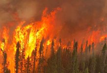 Start Wildfire Home Protection With Upgrades Under $200 An aerial view of Cochrane 11 captured by Calvin Hurley, Air Attack Officer from the Northeast Region Forest Fire Management Centre
