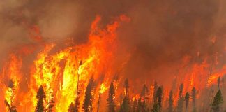 Copernicus reports intense 2026 wildfires from Indonesia to the Arctic as smoke crosses borders and increased wildfires An aerial view of Cochrane 11 captured by Calvin Hurley, Air Attack Officer from the Northeast Region Forest Fire Management Centre