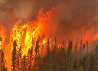 Copernicus reports intense 2026 wildfires from Indonesia to the Arctic as smoke crosses borders and increased wildfires An aerial view of Cochrane 11 captured by Calvin Hurley, Air Attack Officer from the Northeast Region Forest Fire Management Centre
