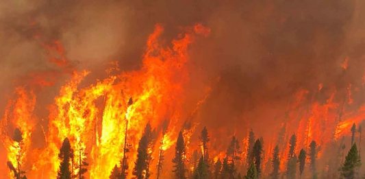 Copernicus reports intense 2026 wildfires from Indonesia to the Arctic as smoke crosses borders and increased wildfires An aerial view of Cochrane 11 captured by Calvin Hurley, Air Attack Officer from the Northeast Region Forest Fire Management Centre