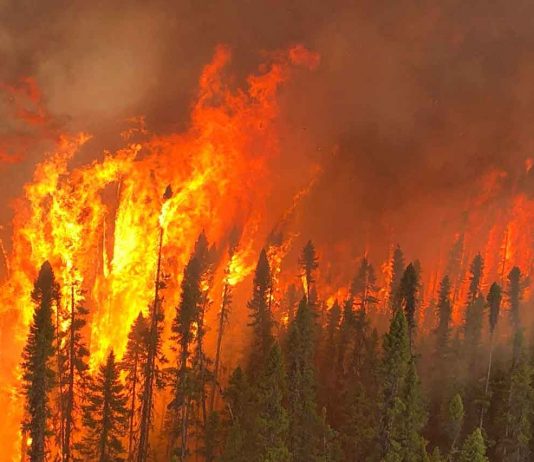Copernicus reports intense 2026 wildfires from Indonesia to the Arctic as smoke crosses borders and increased wildfires An aerial view of Cochrane 11 captured by Calvin Hurley, Air Attack Officer from the Northeast Region Forest Fire Management Centre
