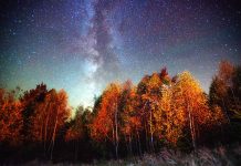 NAtION-TECH – Meteor Showers: A Magical Light Show in the Sky! Meteor Shower