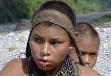 “Genocide Bill” scrapped as Indigenous people claim victory in Peru A Nanti woman and child. The Nanti were just one of many uncontacted and recently-contacted peoples whose survival was threatened by the bill. © Survival