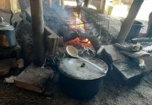 Wasaho Cree Nation: Warm Winds, Sunshine, and a Wet Weekend Watch Wasaho Cree Nation