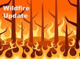 Northwest Wildfire Update: 12 New Fires Confirmed as 146 Burn Across Region Wildfire Report