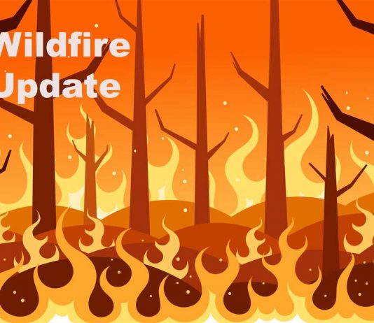 Northwest District – 10 Active Wildfires as of June 24 2026 Wildfire Report