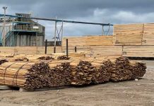 What a U.S. Lumber Tariff Could Mean for Northwestern Ontario Nakina Forest Products