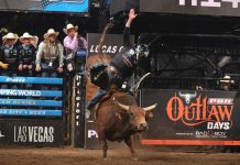 Rodeo: PBR Expanding Teams to 12 for 2027 Season PBR World Camping Teams 2023 - Image Courtesy Bull Stock Media