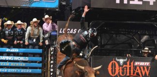 Rodeo: PBR Expanding Teams to 12 for 2027 Season PBR World Camping Teams 2023 - Image Courtesy Bull Stock Media