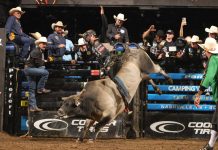 Missouri Thunder Fall to Kansas City Outlaws on Kyler Oliver’s Walk-off Ride to Close Opening Day of PBR Thunder Days at Thunder Ridge Nature Arena Image Bull Stock Media - PBR TEAMS