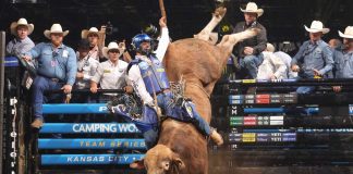 Texas Rattlers Rule Home Dirt as PBR Teams Standings Tighten in Fort Worth PBR Teams - Courtesy Bull Stock Media