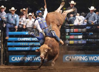 Texas Rattlers Rule Home Dirt as PBR Teams Standings Tighten in Fort Worth PBR Teams - Courtesy Bull Stock Media
