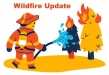 Northwest Fire Region – July 29, 2024, 17:43 CDT Wildland Forest Wildfire Update