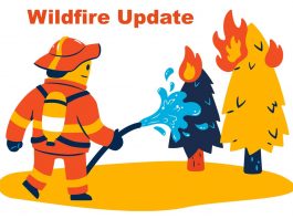 Northwest Fire Region Reports No Active Wildland Fires Wildland Forest Wildfire Update