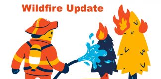 Northwest Ontario Wildfire Update: No Active Fires Reported Across the Northwest Region Wildland Forest Wildfire Update