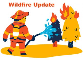 Northwest Ontario Wildfire Update: No Active Fires Reported Across the Northwest Region Wildland Forest Wildfire Update