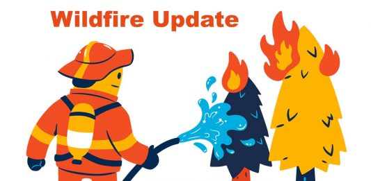 Wildfire Update: No New Fires Reported in Northwest Region by Early Evening May 18 Wildland Forest Wildfire Update
