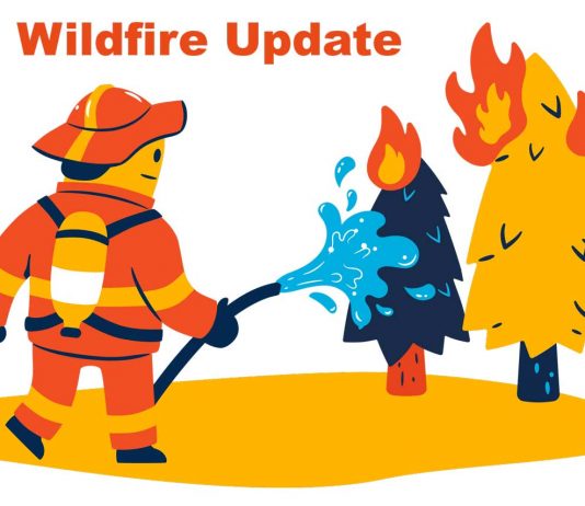 Northwest Region reports no new fires May 21; Thunder Bay 12 near Shabaqua called out Wildland Forest Wildfire Update