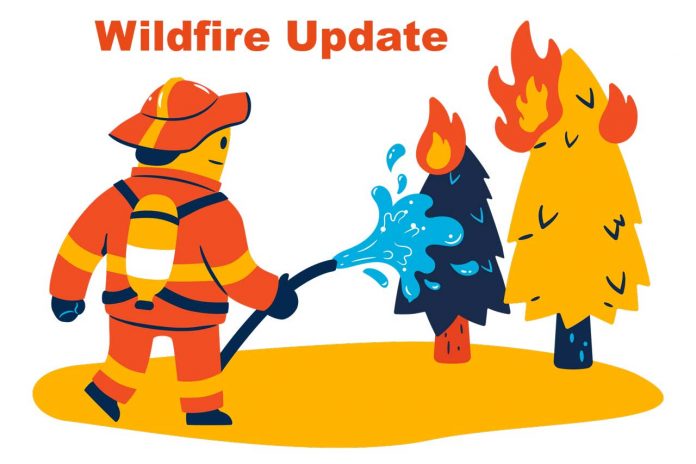 Wildland Forest Wildfire Update