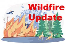 2025 Wildfire Report: New Fire Near Upsala Along the Trans-Canada; Hazard High–Extreme Across Northwest Wildfire Update