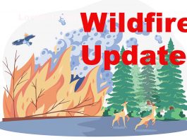 Wildfire Update – No new Northwest Region fires May 20; Dryden 11 now being held near Sandbar Lake Wildfire Update