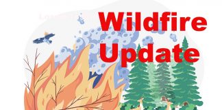 Northwest Ontario Records One New Wildfire Near Rainy River as Fire Season Rules Remain in Effect Wildfire Update