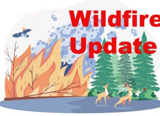 Wildfire Update – No new Northwest Region fires May 20; Dryden 11 now being held near Sandbar Lake Wildfire Update