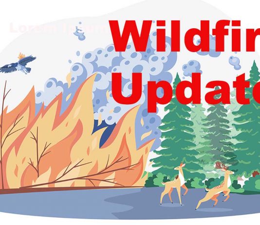 Wildfire Update – No new Northwest Region fires May 20; Dryden 11 now being held near Sandbar Lake Wildfire Update