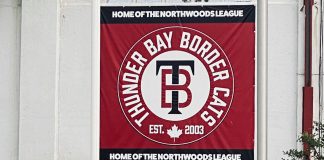 Border Cats swept in Wausau, return home to face St. Cloud at Port Arthur Stadium Border Cats