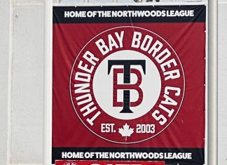 Border Cats swept in Wausau, return home to face St. Cloud at Port Arthur Stadium Border Cats