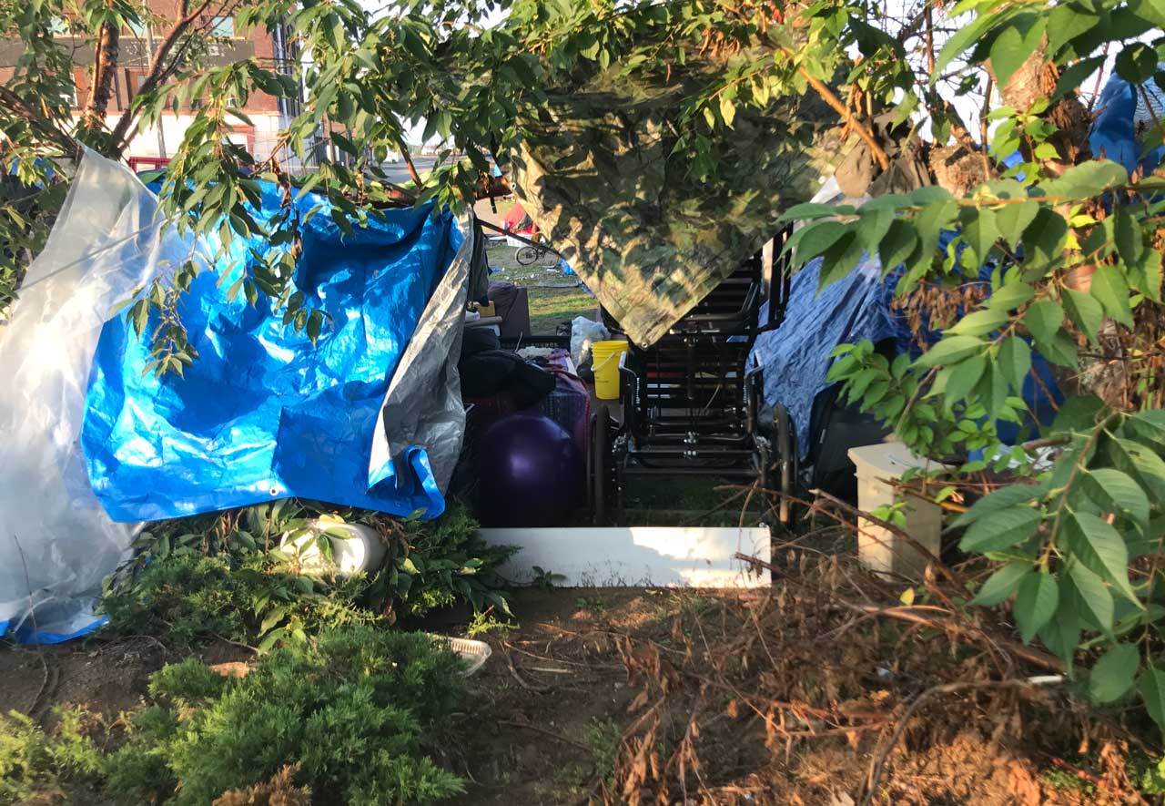 Part of the encampment on Donald Street East