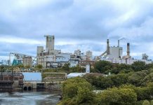 Domtar Mill in Espanola, Ontario Faces Year-Long Curtailment, Leaving Hundreds in Uncertainty Largest Employer in Espanola To Close for at least a year