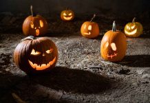 Halloween Safety Tips for Trick-or-Treaters: Ensuring a Safe and Fun Night Halloween